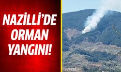 Nazilli'de orman yangını