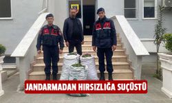 Jandarmadan hırsızlığa suçüstü!