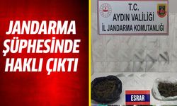 Nazilli'de durdurulan araçtan çıkanlar şoke etti!
