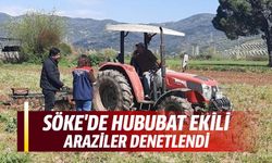 Söke'de hububat ekili araziler denetlendi