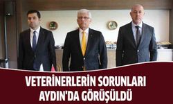 Veterinerlerin sorunları Aydın'da görüşüldü