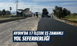 Aydın'da 17 ilçede eş zamanlı yol seferberliği