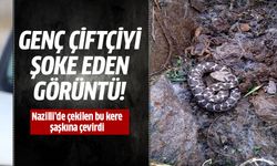 Nazilli'nin en zehirlileri aynı karede!