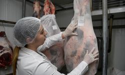 Aydın'da kurban kesim fiyatları açıklandı