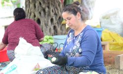 Nazilli'de kurutmalık sebze oymacılığı "bacasız fabrikaya" dönüştü