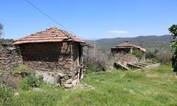 Bu köy savaş gördüğü için değil gençler terk ettiği için bu hale geldi