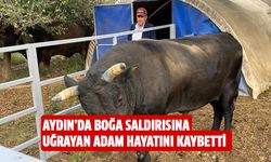 Aydın'da boğa saldırısına uğrayan adam hayatını kaybetti!