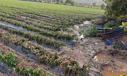 Köşk'te sel sonrası arazilerde hasar tespiti başlatıldı