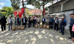 3 bin kilo ayçiçeği tohumu üreticilere dağıtıldı