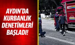 Aydın'da kurbanlık denetimleri başladı!