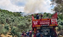 Yenipazar’daki makilik yangını kontrol altına alındı