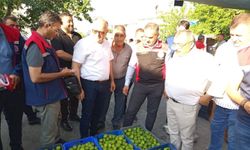Aydın'da ilek pazarı denetimleri aralıksız sürüyor