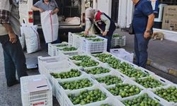 Bozdoğan’da ilek denetimleri aralıksız sürüyor
