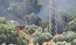 Nazilli'de korkutan yangın