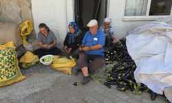 Ege'nin 'Patlıcan Vadisi'nden tüm dünya sofralarına