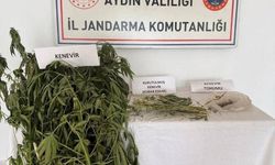 Operasyonda yakalandılar