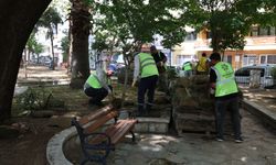 Başkan Çerçioğlu’nun çalışmalarıyla Aydın’ın park ve yeşil alanları yenileniyor