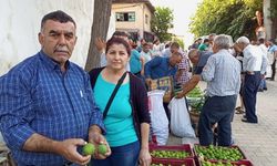 Kuyucak'ta 52 yıldır iğlek mesaisi: Gürlay ailesi yarım asırdır incire can oluyor