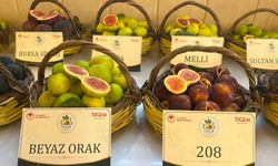 Aydın'a 100 milyonluk yatırım