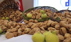 Aydın'da sezonun ilk kuru inciri 850 liradan satıldı