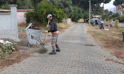 Nazilli’de ekipler Pınarbaşı için sahaya indi