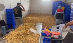 Köşk'te 20 milyon TL değerinde 25 ton etiketsiz kuru incir ele geçirildi