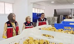 Aydın’ın sarı altını incir için denetimler sıklaştırıldı
