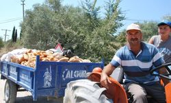 İnsanlar aç kalmasın diye üretiliyor, hayvan yemi olarak satılıyor