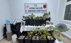 Eve yapılan operasyon sonrası bir kişi gözaltına alındı