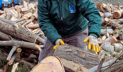 AĞAÇ ATIKLARI İHTİYAÇ SAHİPLERİ İÇİN KARA KIŞTA YAKACAĞA DÖNÜŞÜYOR