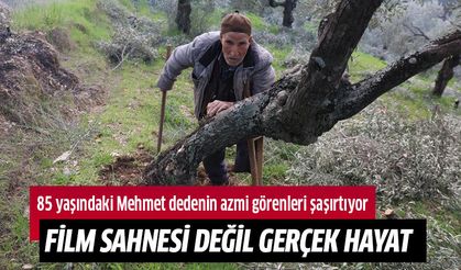 Film sahnesi değil gerçek hayat