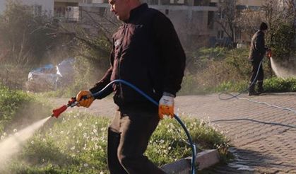 Bozdoğan’da yabani ot mücadelesi