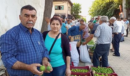 Kuyucak'ta 52 yıldır iğlek mesaisi: Gürlay ailesi yarım asırdır incire can oluyor