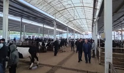 Nazilli Hayvan Pazarı’nda kaçak ve belgesiz hayvanlara geçit yok