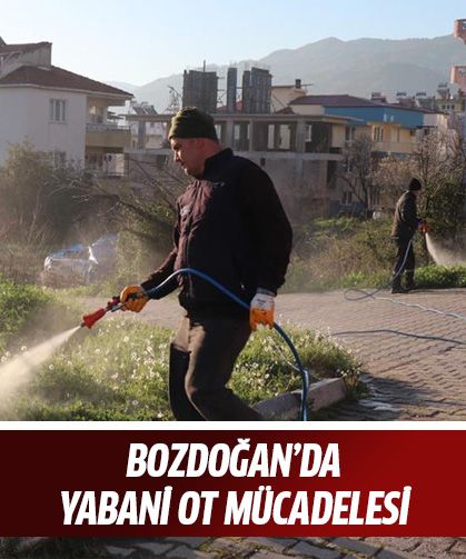 Bozdoğan’da yabani ot mücadelesi