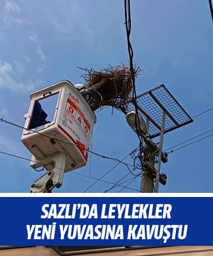 Sazlı’da leylekler yeni yuvasına kavuştu