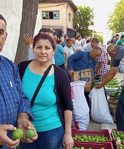 Kuyucak'ta 52 yıldır iğlek mesaisi: Gürlay ailesi yarım asırdır incire can oluyor