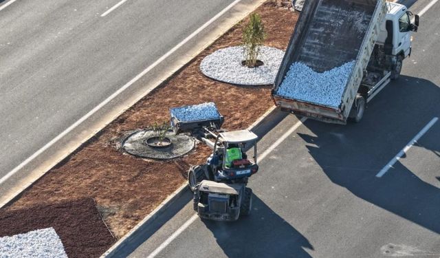 Büyükşehir Belediyesi'nden Acarlar-Şehir Hastanesi yolunda peyzaj düzenlemesi