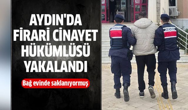 Aydın'da cinayet hükümlüsü yakalandı