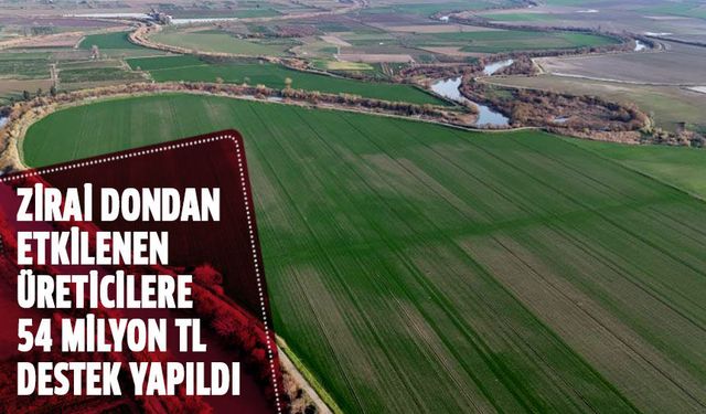 Aydın'da zirai dondan etkilenen üreticilere destek yapıldı!