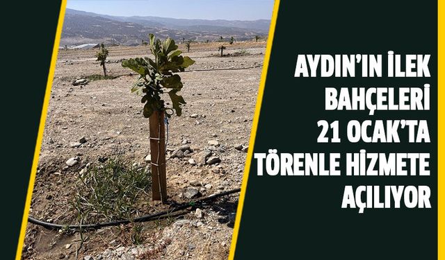 Aydın’ın İlek Bahçeleri 21 Ocak’ta törenle hizmete açılıyor