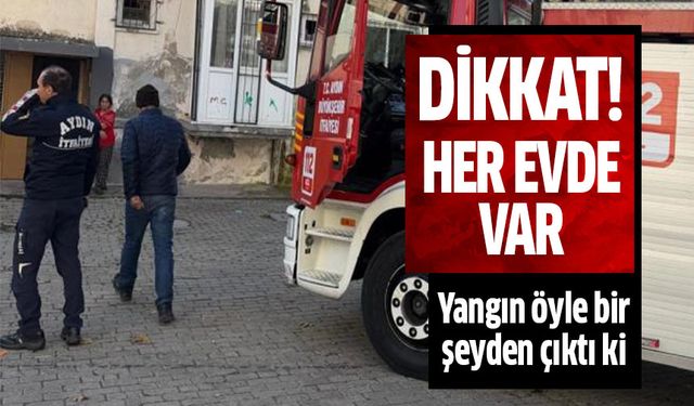 Aydın'da yangın paniği!