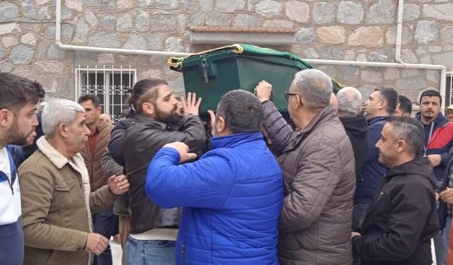 Aydın'da asırlık çınar 107 yaşında hayata veda etti