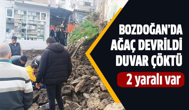 Bozdoğan’da ağaç devrildi, duvar çöktü!
