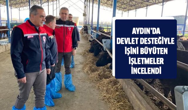 Devlet desteğiyle işini büyüten işletmeler incelendi