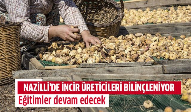 Nazilli'de incir üreticileri bilinçleniyor