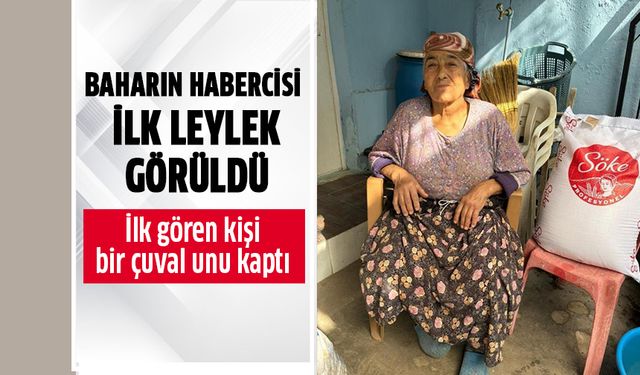 Aydın’da ilk leyleği gördü, bir çuval unu kaptı