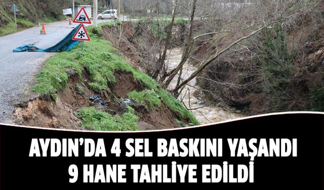 Aydın'da 4 sel baskını yaşandı, 9 hane tahliye edildi