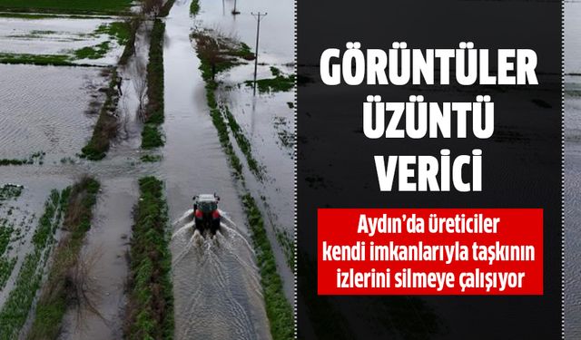 Aydın'dan gelen üzüntü verici görüntüler!