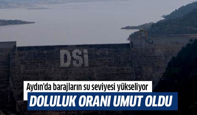 Aydın'da barajların su seviyesi yükseliyor